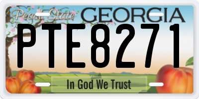 GA license plate PTE8271