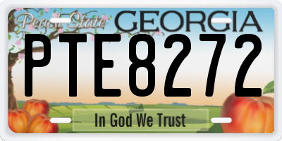 GA license plate PTE8272