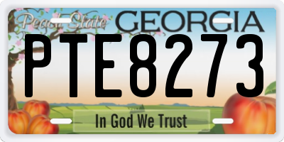 GA license plate PTE8273
