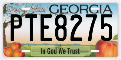 GA license plate PTE8275
