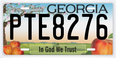 GA license plate PTE8276