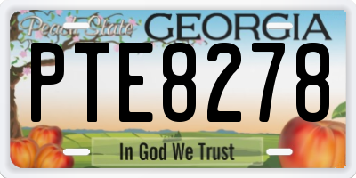 GA license plate PTE8278