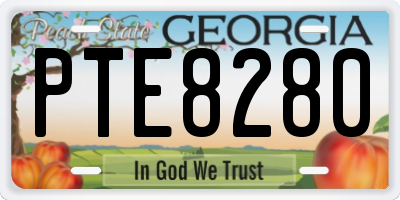 GA license plate PTE8280