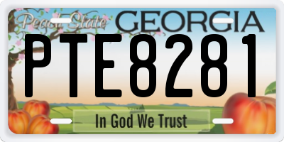 GA license plate PTE8281