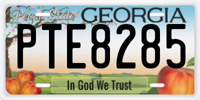 GA license plate PTE8285