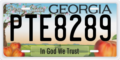 GA license plate PTE8289