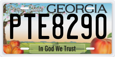 GA license plate PTE8290