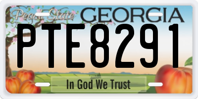 GA license plate PTE8291