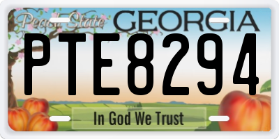 GA license plate PTE8294