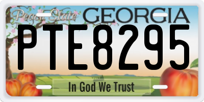 GA license plate PTE8295