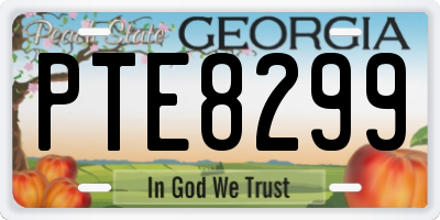 GA license plate PTE8299