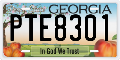 GA license plate PTE8301