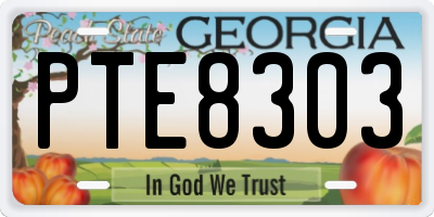 GA license plate PTE8303