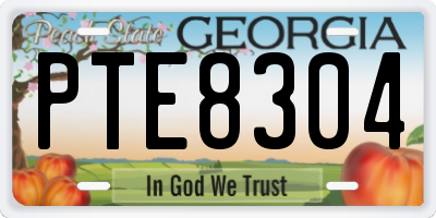 GA license plate PTE8304