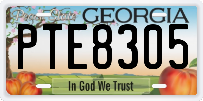 GA license plate PTE8305