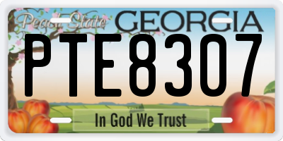 GA license plate PTE8307