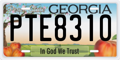 GA license plate PTE8310