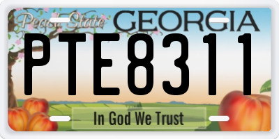 GA license plate PTE8311
