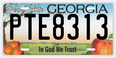 GA license plate PTE8313