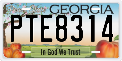 GA license plate PTE8314