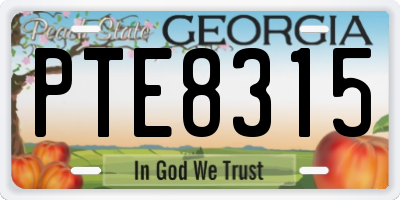 GA license plate PTE8315