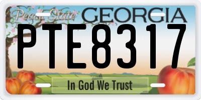 GA license plate PTE8317