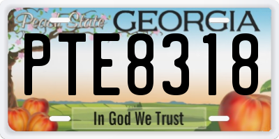 GA license plate PTE8318