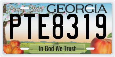 GA license plate PTE8319