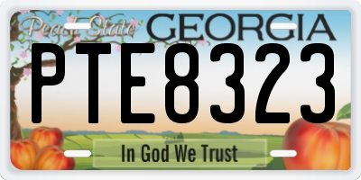 GA license plate PTE8323