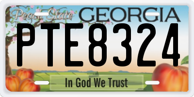 GA license plate PTE8324