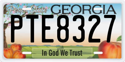 GA license plate PTE8327
