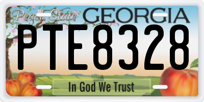 GA license plate PTE8328