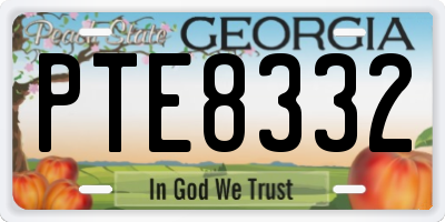 GA license plate PTE8332