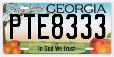 GA license plate PTE8333