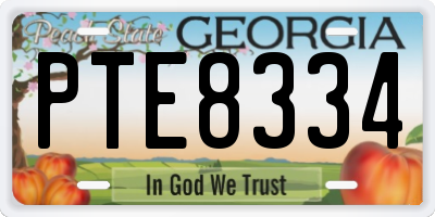 GA license plate PTE8334