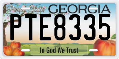GA license plate PTE8335