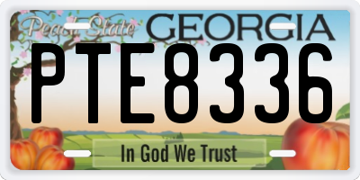GA license plate PTE8336