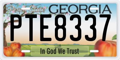 GA license plate PTE8337