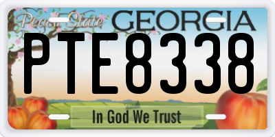 GA license plate PTE8338