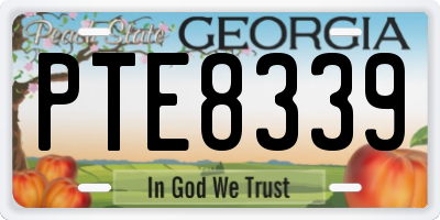 GA license plate PTE8339