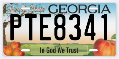 GA license plate PTE8341