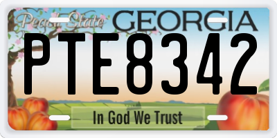 GA license plate PTE8342