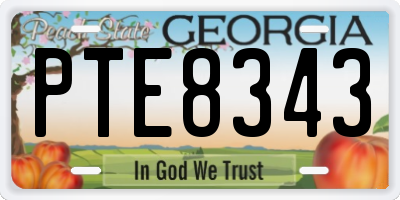 GA license plate PTE8343