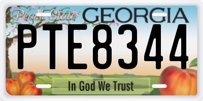 GA license plate PTE8344
