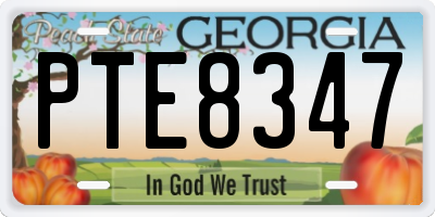 GA license plate PTE8347