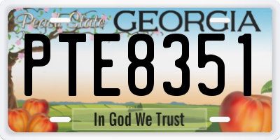 GA license plate PTE8351