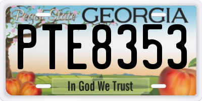 GA license plate PTE8353
