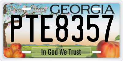 GA license plate PTE8357