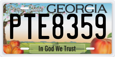 GA license plate PTE8359