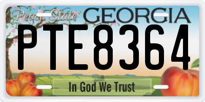 GA license plate PTE8364
